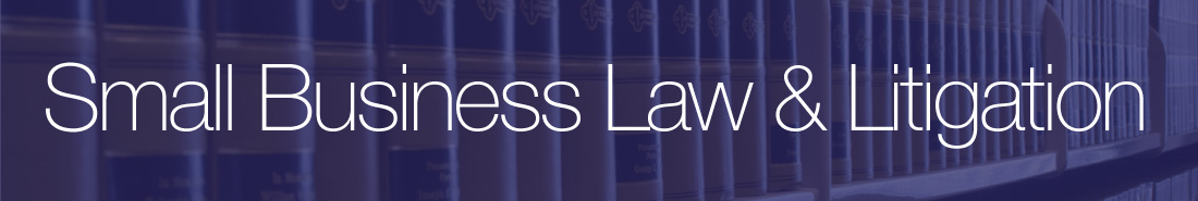 Orlando Small Business Lawyer, Florida Professional Licensing